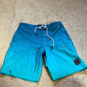 American Eagle Swim Shorts